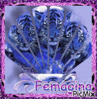 kdo pour Femagina ♥♥♥ GIF animata