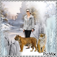 winter walk with tigers