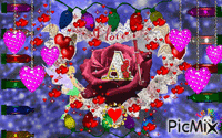 rosa lettera - GIF animado grátis