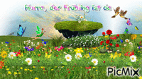 spring - GIF animé gratuit