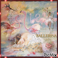 Балерина и фламинго. - GIF animé gratuit