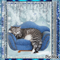blue cat christmas - Darmowy animowany GIF