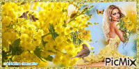 femme mimosa - Gratis geanimeerde GIF