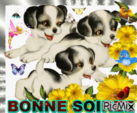 SOIREE DU 09 04 animasyonlu GIF