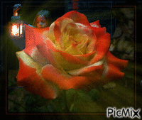 trandafir - 無料のアニメーション GIF