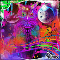 Mix color Owl - GIF animé gratuit