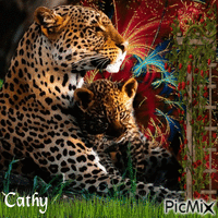 ღ❤️ღ creα cathy ღ❤️ღ - GIF animate gratis