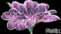 fleur - Бесплатни анимирани ГИФ