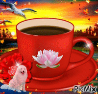 myn koffie - GIF animado gratis