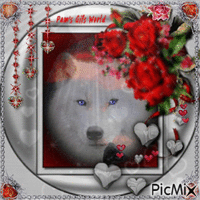 White Wolf and Hearts - Free animated GIF