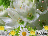 primavera - Darmowy animowany GIF