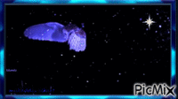 gecekuşu baykuş - Безплатен анимиран GIF