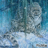 Snow Leopards Animiertes GIF