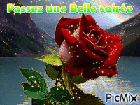 Belle soirée - 免费动画 GIF