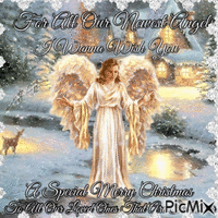 Merry Christmas To Our Angels