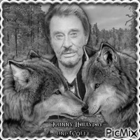 Wölfe und Johnny Hallyday - Δωρεάν κινούμενο GIF