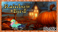Rainbow Bird - Ingyenes animált GIF