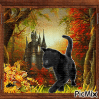Chat noir d'automne. - GIF animado gratis
