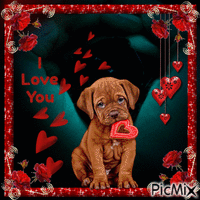 Valentines-love-dogs-flowers-hearts Animated GIF