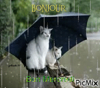 bonjour - GIF animé gratuit
