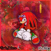 Knuckles the echidna Animiertes GIF