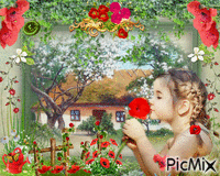 pipacsos kislány Animated GIF