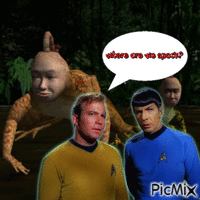 what is going on?! - Free animated GIF