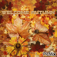Welcome Autumn - GIF animé gratuit