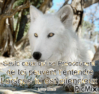 Loup Blanc - Gratis geanimeerde GIF