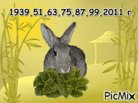 Кролик - GIF animado gratis