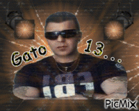 GATONEGRO13... animovaný GIF