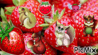 fraise mania - GIF animé gratuit
