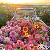 Camión de flores - Ingyenes animált GIF