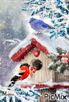 Birds in Winter Animated GIF