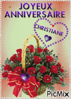 joyeux annif Christiane 23 fevier - GIF animado grátis