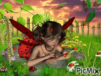 ladybug animerad GIF
