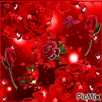 Rose rouge dans cadre rouge - GIF animé gratuit