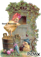 Good Morning, chickens - GIF animé gratuit