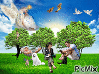 Angel Watch on a sunny day 动画 GIF