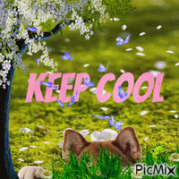 keep cool - Ingyenes animált GIF