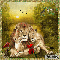 Lion family анимирани ГИФ