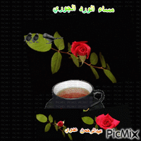 مساء الورد الجوري - Безплатен анимиран GIF