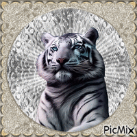 Tiger - Gratis animerad GIF