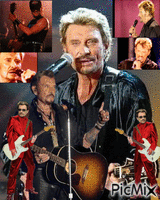 johnny hallyday le concert - Free animated GIF