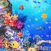 Colors of the underwater world-contest - Nemokamas animacinis gif