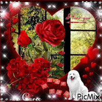 rosa roja - Ingyenes animált GIF