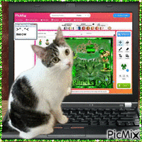 Cat with computer - GIF animasi gratis