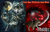 Love the Wolf - Animovaný GIF zadarmo
