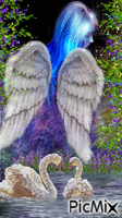 angel - Бесплатни анимирани ГИФ