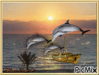 dauphins et mer анимиран GIF